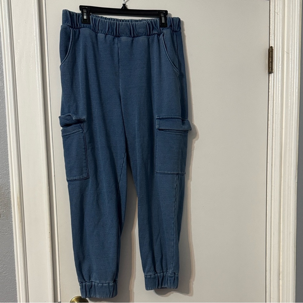 Express Blue Cargo Pants